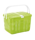 سبد پیک نیک بهار 1 سبز